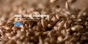 精酿啤酒如何“突围”？